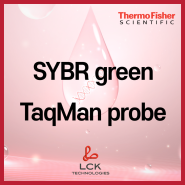 [기초다지기] SYBR green과 TaqMan probe란?