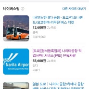 도쿄여행 준비 : 나리타 공항에서 도쿄역 가는 3가지 방법 넥스 스카이라이너 1300엔버스 차이