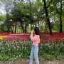 서울숲 튤립 축제 놀이터 위치 꽃구경 성수동 핫플 데이트장소