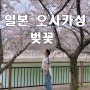 “오사카성 벚꽃” 일본 오사카 3박 4일 여행