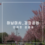 [하남미사_경정공원] 제대로 즐기는 겹벚꽃 명소 4월 18일자 만개, 주차팁