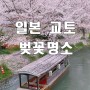 일본 “후시미 짓코쿠부네/기온 시라카와” 교토 벚꽃 명소
