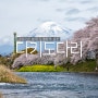 일본여행 후지산 벚꽃 다키도다리 류겐부치