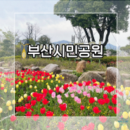 부산 가볼만한곳 부산시민공원 아이들과 피크닉 하기 좋아요.