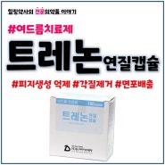 트레논연질캡슐 여드름 피지 각질 치료제 이소트레티노인 임신 임부 금기 피임 효능 효과 복용법 부작용