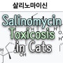살리노마이신. 고양이에게 다발신경병증 유발하는 독성 부작용 주의(Salinomycin Toxicosis in Cats)