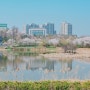봄맞이 푸른수목원 출사 후기 1탄 - 구로구 푸른수목원