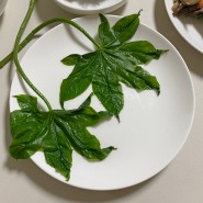 [집밥] 제피순무침과 참엉개 이파리
