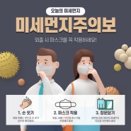 미세먼지에 도움되는 과일 파인애플