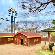 서울대공원 테마가든 아기랑 관람하기 좋은 어린이 동물원