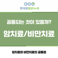 부산 암치료와 비만치료의 공통점_동래맑은누리한의원