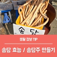 송담효능 TOP4, 송담주 먹는법 부작용은?