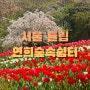 서울 서대문구 연희숲속쉼터 튤립 안산 벚꽃길, 홍제천 인공폭포