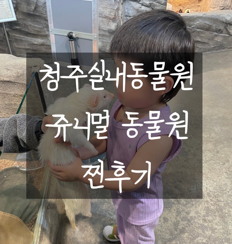 [청주] 쥬니멀 동물원: 찐후기, 청주아이와가볼만곳...