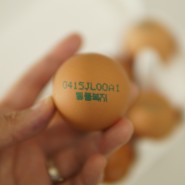 계란 고르는 방법 난각번호 1번 동물복지계란 1등급계란 좋은계란의 기준