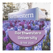 미국 명문 대학 Northwestern University 2024 합격률 [미국 대학]