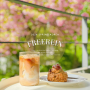 분당 겹벚꽃 카페ㅣ정자역 프리레인 커피 로스터스