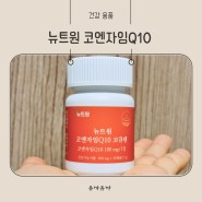 코엔자임Q10 부작용 복용시간과 임신준비 코큐텐 효능 용량 총정리