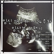 임신 18주차 ~ 24주차 증상 임산부 비행기 입체초음파 삼성병원