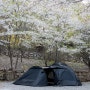 캠핑 텐트 추천 폴라리스 D1PRO 치기 쉬운 돔쉘터 텐트 후기