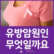 목동 유방외과 유방암 원인은 무엇일까요