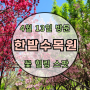 대전 한밭수목원 4월 동원 꽃 : 주차장 놀이터
