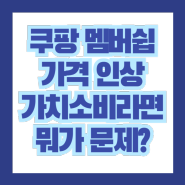 쿠팡 플레이 와우 멤버쉽 가격인상과 가치소비 (드라마 박찬욱 동조자)