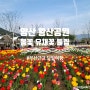[경남/양산] 부산근교 봄꽃 당일여행 황산공원 튤립 유채꽃