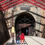 문경 가볼만한곳 오미자 테마 터널
