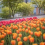 마곡 서울 식물원 공원 튤립 겹벚꽃 예쁜 요즘 야외 갈만한곳 피크닉도 추천~ 주차장
