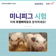 미니피그 CRO, SCANTOX 공식 협력사 우정바이오에서 만나보세요!