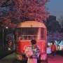 [노원] 서울 벚꽃 명소 화랑대역 폐역 야경 즐기며 나들이하기 좋은 화랑대 철도공원 노원 불빛정원