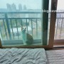 고양이 일상, 4월 어느날 오후 따사로운 봄볕 쬐고 있는 반려묘 보리