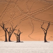 [아프리카 여행] 나미비아 나미브 사막 / Namibia's Namib Desert