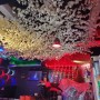 인조나무 라이브카페에 천장 인조벚꽃장식 으로 분위기전환