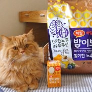 노령묘고양이사료 하림펫푸드 밥이보약 영양톡톡 귀여운 고양이 일상