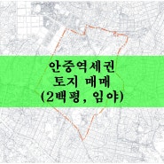 평택 안중역세권 토지 매매(2백평, 임야, 계획관리지역)