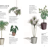 신세계매거진, ‘마음 한편에 두는 요즘 식물’ 일러스트레이션 | illustration for Shinsegae Magazine, April 2024-issue 68