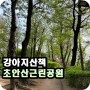 서울 강아지 산책_초안산근린공원 봄을 걷다