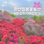 4월 전주 여행지 겹벚꽃 철쭉이 만개한 완산칠봉꽃동산