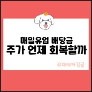 매일유업 주가 배당금 언제쯤 회복할 수 있을까