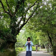 일본패션 데이라이프 페르소나 가디건과 함께하는 4월 대만 여행