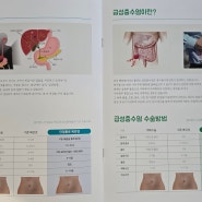 담낭 절제 수술 비용부터 후기까지, 궁금증 해결! (feat. 담대한 외과 의원)
