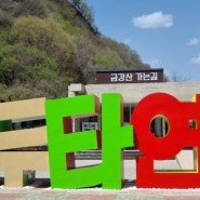 청춘양구 DMZ 생태관광지 두타연 탐방