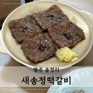 고소한 광주 송정역 떡갈비 맛집 : 송정리 떡갈비거리 새송정떡갈비