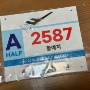 서울마라톤 대회 서울 하프 마라톤 코스, 이벤트