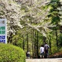김포 쉼이 있는 여행 문수산 산림욕장 숲속 힐링