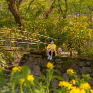 충남 여행 🌻공주 가볼만한곳 공주 갑사 황매화 축제 계룡산국립공원