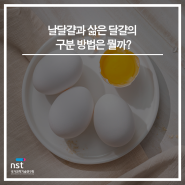 날달걀과 삶은 달걀의 구분 방법은 뭘까?