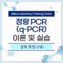 정량 PCR(q-PCR) 이론 및 실습-심화과정 5.9(1일)